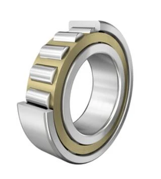 NJ330-E-XL-M1-F1-C4-lager